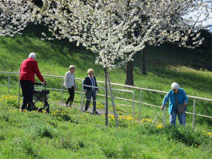 Activités Nouvelle Roseraie