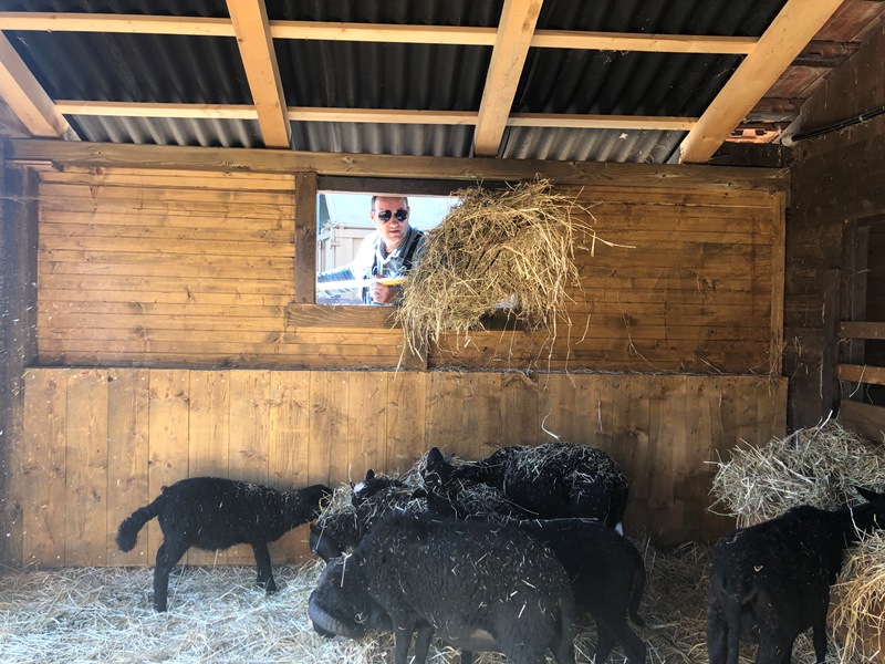 Benoit à la Ferme de la Gavotte