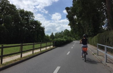 biketowork biketowork
