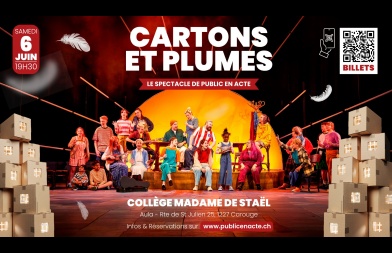 Flyer Cartons & Plumes