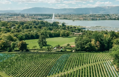 vignoble Genève