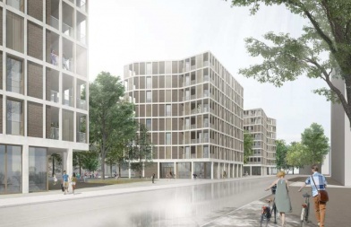 Projet des Maraîchers Projet des Maraîchers