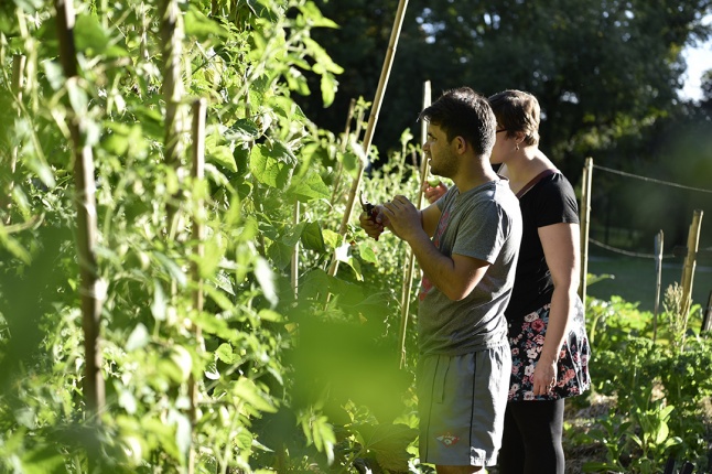 Jardin Herbes Vives ActivEte