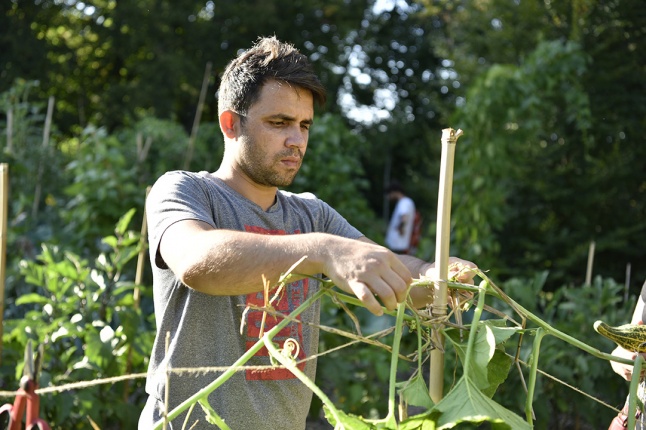 Jardin Herbes Vives ActivEte