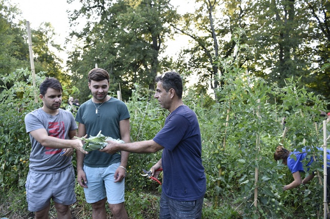 Jardin Herbes Vives ActivEte