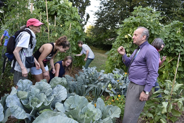 Jardin Herbes Vives ActivEte