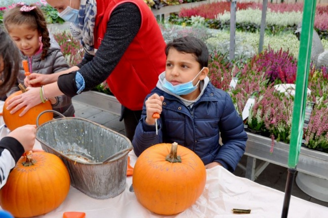 Atelier citrouilles du 17 octobre