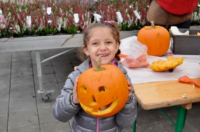 Atelier citrouilles du 17 octobre