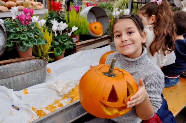 Atelier citrouilles du 17 octobre