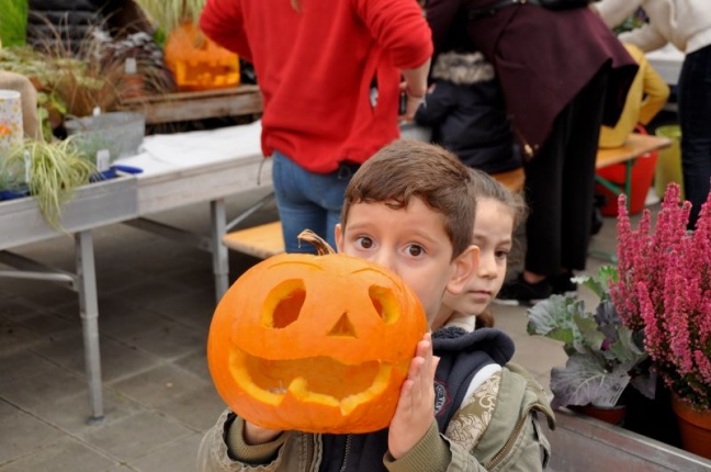 Atelier citrouilles du 17 octobre