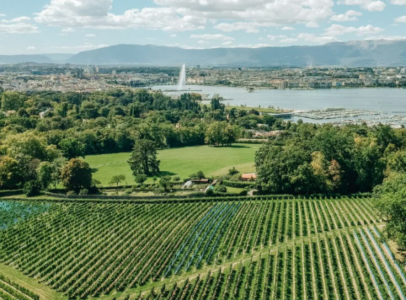 vignoble Genève